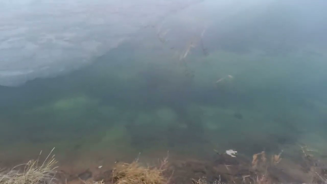 Бестобе 21.11.25. Есть разница между словами, которые говорят на слушаниях, и реальными делами?