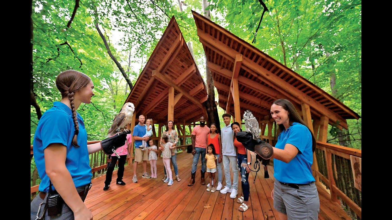 Image result for Experience the Ohio Bird Sanctuary for birds, hiking, and a treehouse ...