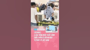 LƯU NGAY: 5 CÂU TIẾNG NHẬT NHÂN VIÊN XUẤT CẢNH CHẮC CHẮN SẼ HỎI KHI BAY TỪ NHẬT VỀ VIỆT NAM #tintuc