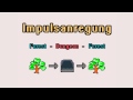 Impulsanregung - Forest/Dungeon/Forest (NES Chiptune)