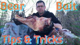 Bear Baiting Tips and Tricks