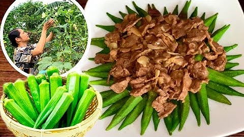 Đậu Bắp Xào Thịt Bò Đầy Dinh Dưỡng | Tác Dụng Tuyệt Vời Từ Đậu Bắp Với Sức Khỏe