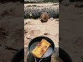Pantau Mumutula  #travel #youtubeshorts #beach #camping #kupang #travel #coffee #pesonaindonesia