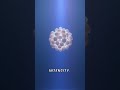 Scientists Move Living Cells With Pure Light