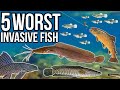 5 Worst Invasive Fish Species