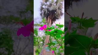 সময় থাকতে নামাজ পড়ো