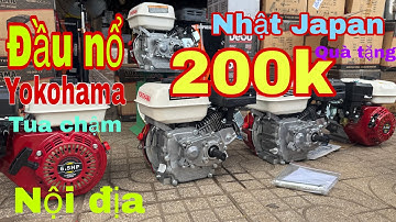 🔴🔴🔴 đầu nổ yokoha Nhật chính hãng chương trình seo cuối năm cho khách hàng khi mua máy  ngày 21/11