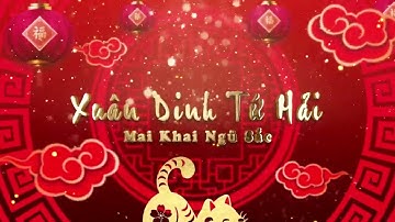 Background Tất Niên Bản Hoàn Thiện -  Background Tết 2023 - Vietnamese Lunar New Year 2023 Final