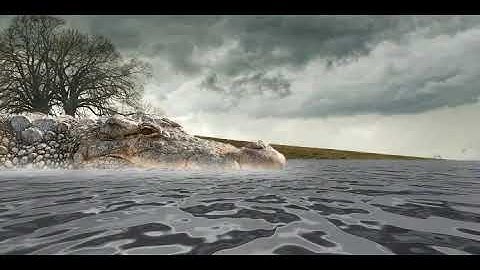 What is SWAMP LAND in PHYSICS? - GREEN ENGLISH - GREEN PHYSICS (PL & EN phrases) Part I