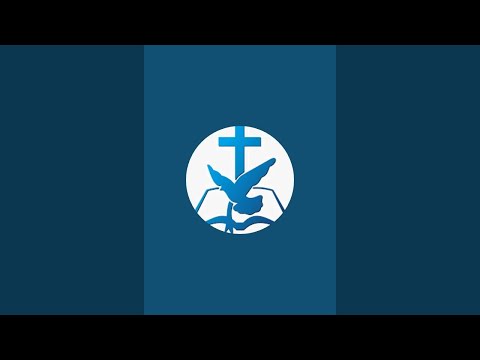 Previzualizare video