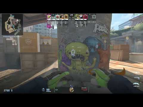 Ro1f POV against Vitality on Overpass