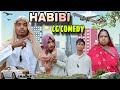 Habibicg comedy   new cg comedycg raju 07