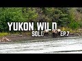 14 Days Solo Camping in the Yukon Wilderness - E.7 - Grizzly Bears & Pancakes for Dinner
