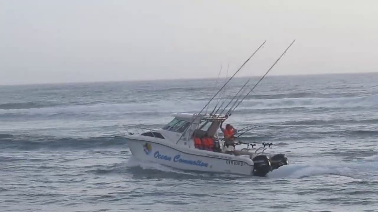 Ocean Commotion Launch - YouTube