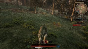 My 1st iggy vs Pycno fight