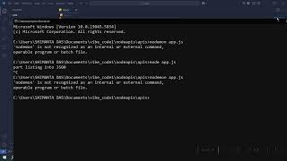 'nodemon' is not recognised as an internal or external command Net Worth