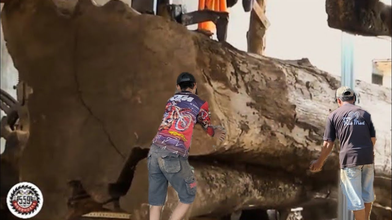 Sawing Teak Wood Is Horrible And The Rarest || Sawmill #1 - YouTube