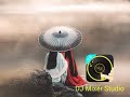 孤独走时关 作词 陈利华 孤独走时关 作词 陈利华