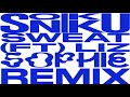 Sonikku  sweat ft liz sophie remix official audio epilepsy warning