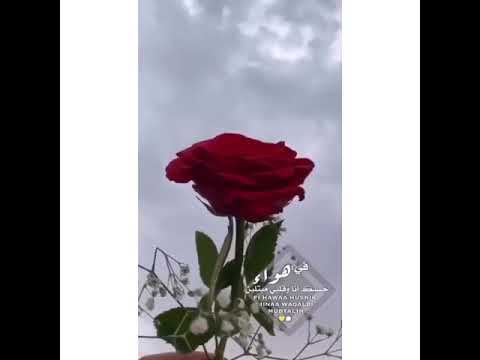 مكتفي به لين ما افنى و أموت و مكتفي بي لين بسم الله عليهF 