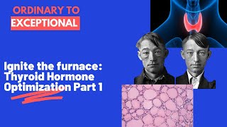 Ignite The Furnace: Thyroid Hormone Optimization Part 1