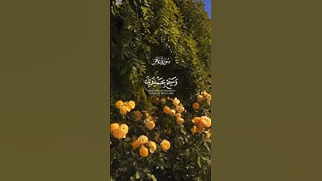 سورة غافر... #quran #اكسبلور #قرآن #المصحف #islam #اللهم_صل_وسلم_على_نبينا_محمد #ﷺ #اسلام #سورة_غافر