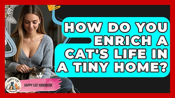 How Do You Enrich A Cat