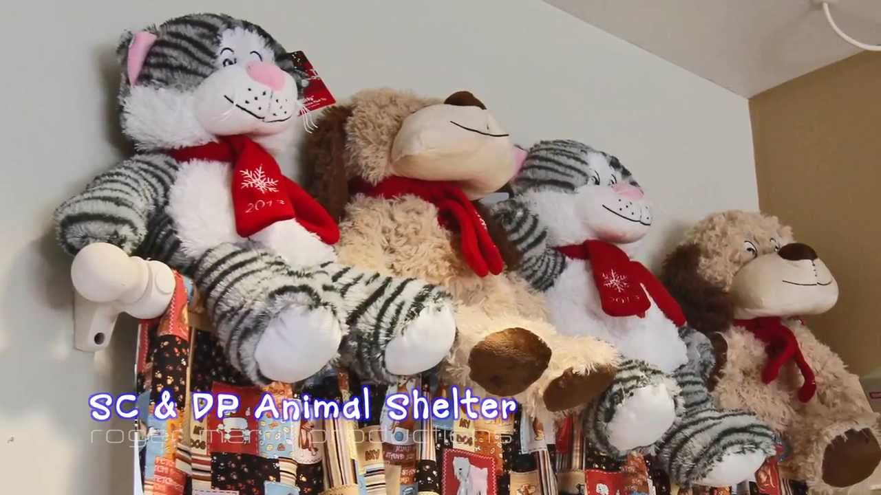 Roger Merrill Visits San Clemente, Dana Point Animal Shelter