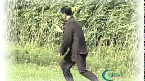 Tai Chi Wave Hands Like Clouds