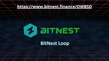 BITNEST - SMART CONTRACTS. Learn about BitNest Loop smart contracts in 5 minutes.