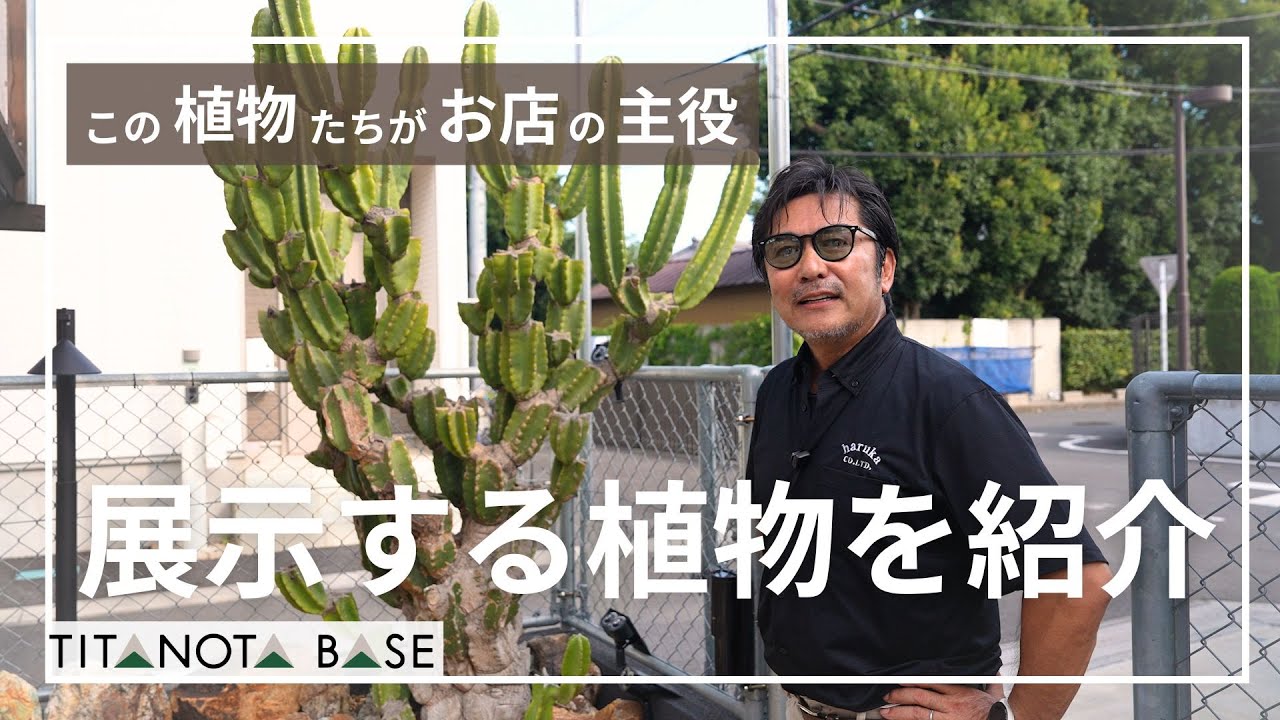 #006 この植物たちがお店の主役 / 展示する自宅の植物を紹介