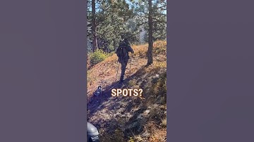 E-Scouting Your Access and Glassing Points for Elk Hunting #Shorts