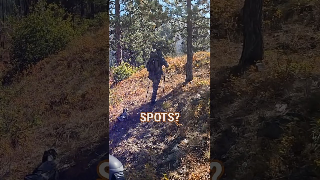 E-Scouting Your Access and Glassing Points for Elk Hunting 