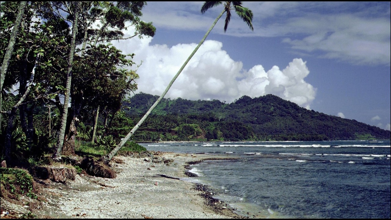 Samoa Surprise (1981)