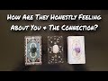 How Are They Honestly Feeling About You The Connection Pick A Card Love Reading