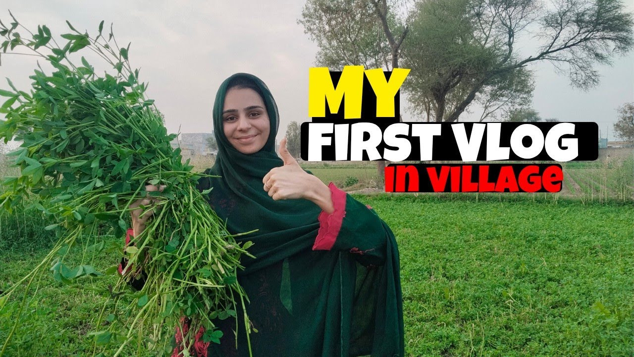 My First Village Vlog | Beautiful Village Life | Daily Vlog 🌾 - YouTube