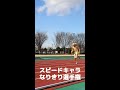 スピード王にふさわしい #Shorts