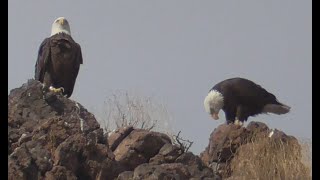 Saguaro Lake December 2023