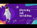 XeroLinux Review