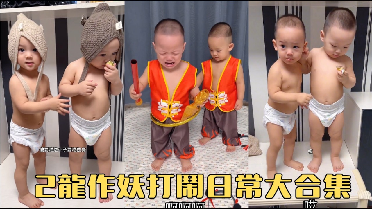 2龍作妖打鬧日常大合集#兩個小龍子 #雙胎寶寶的日常