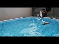 Intex Poolsauger / Poolroboter