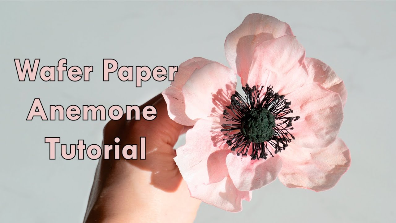 Wafer Paper Anemone Tutorial