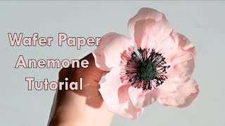 Wafer Paper Anemone Tutorial