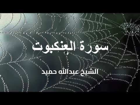تلاوة سورة العنكبوت كاملة بصوت الشيخ عبدالله حميد