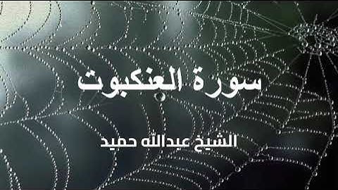 تلاوة سورة العنكبوت كاملة بصوت الشيخ عبدالله حميد