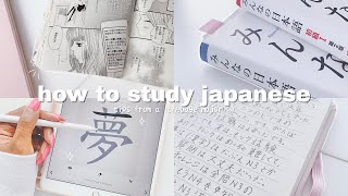 how i study japanese- tips from an actual language major | THE ULTIMATE GUIDE screenshot 4