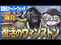 【言語化OW】ゴリラはメタに返り咲くか！？立ち回り解説【オーバーウォッチ】