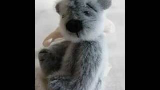 Mini Bear needs a home!