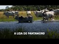 A lida do pantaneiro