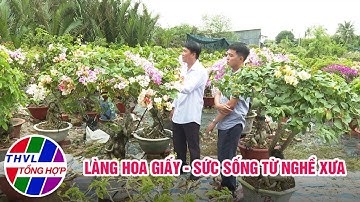 Không gian mới - Sức sống mới: Làng hoa giấy, sức sống từ nghề xưa